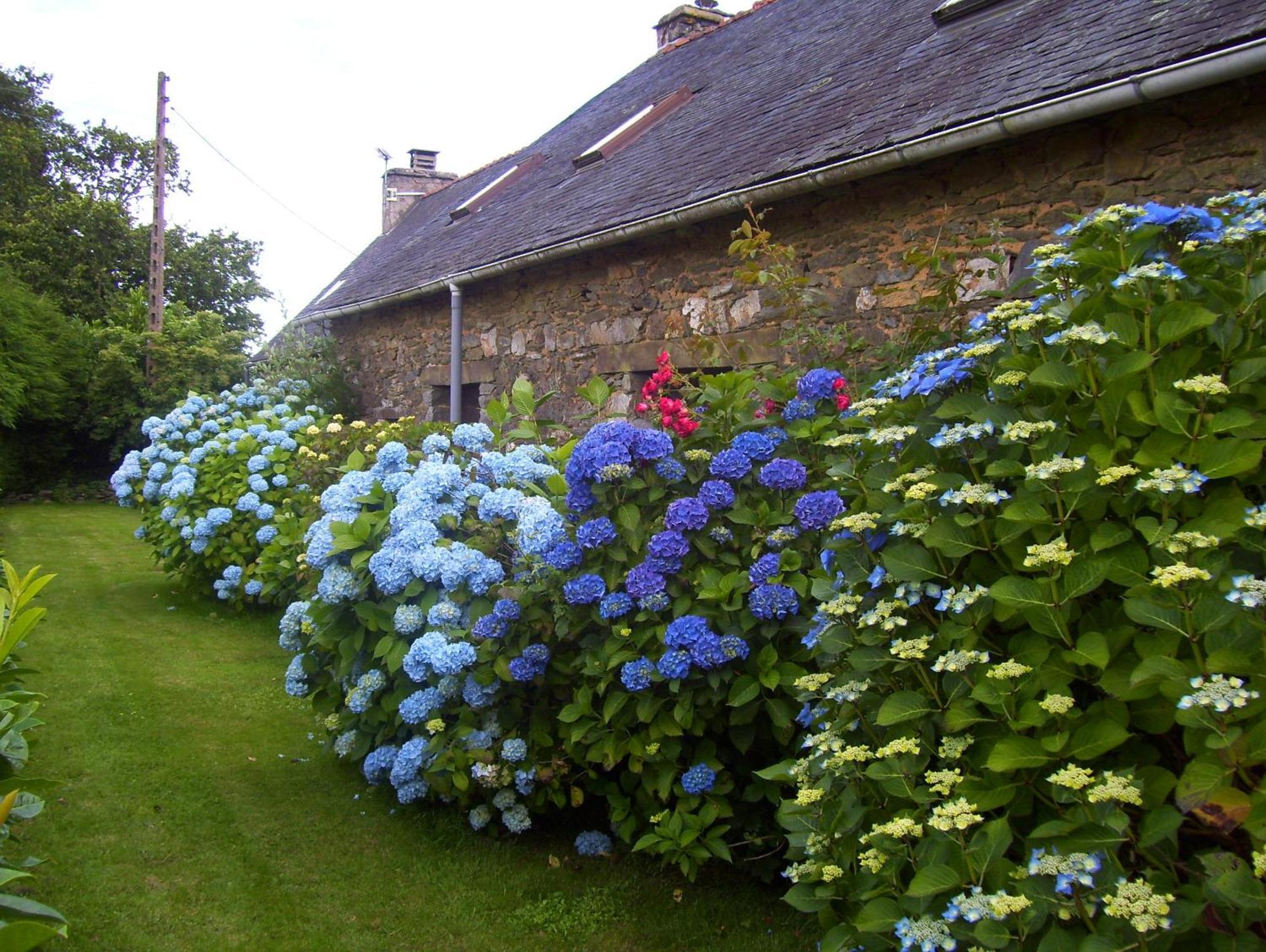 Le Boterff Gites Et Camping Saint-Mayeux Luaran gambar